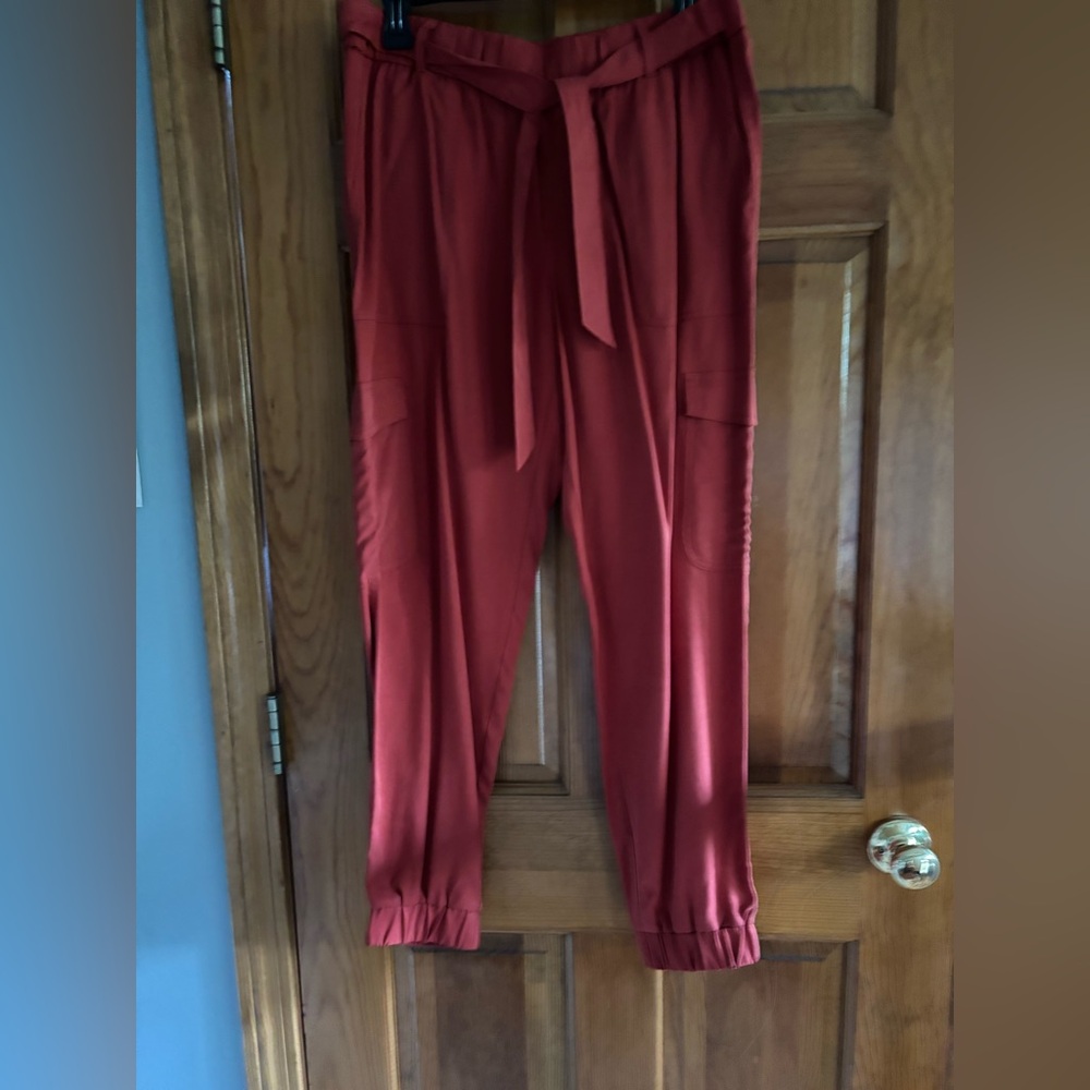NWT Banana Republic Factory Rust Joggers with Elastic/Tie-Waist